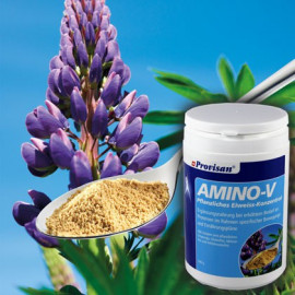 Amino-V Granulat 540g